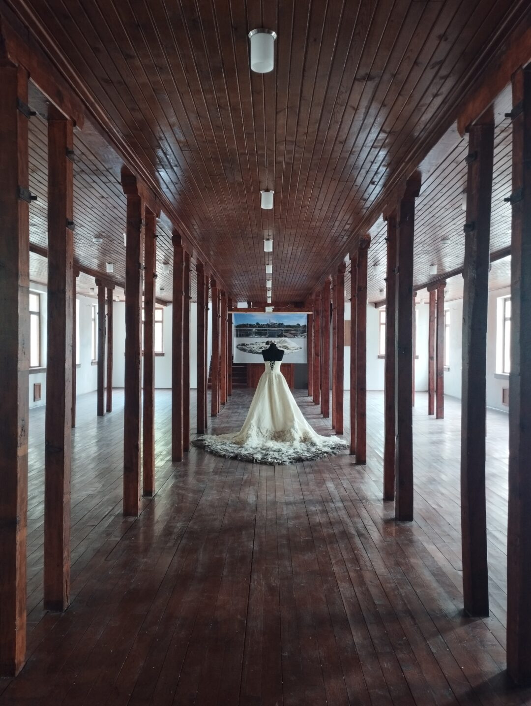 Chrysalis (2024 – In process)