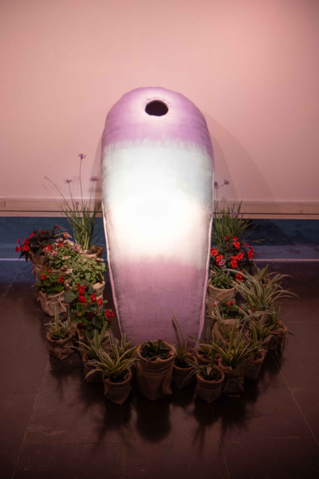 Live well, Die well (2024 – In process)