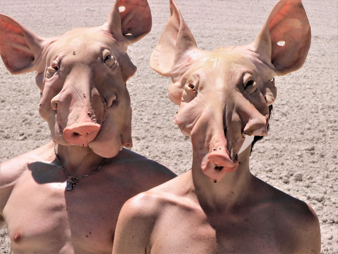 Pig! (2021 – 2023)