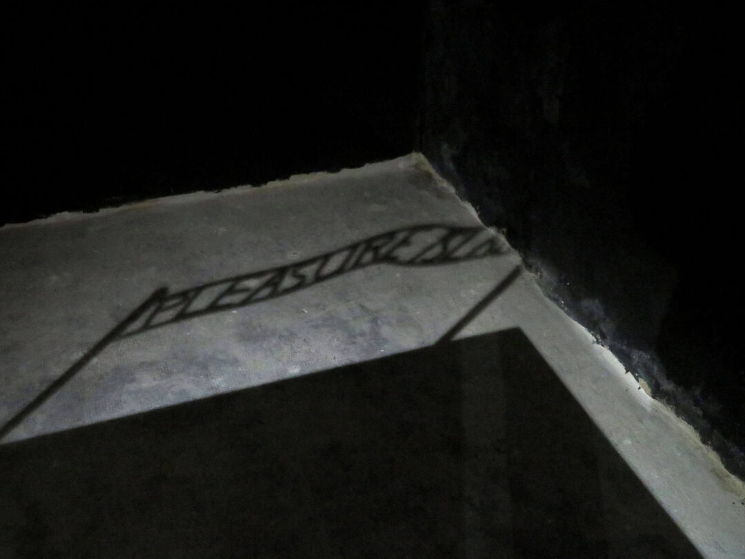 Apocalipsis Now (2019–2022)