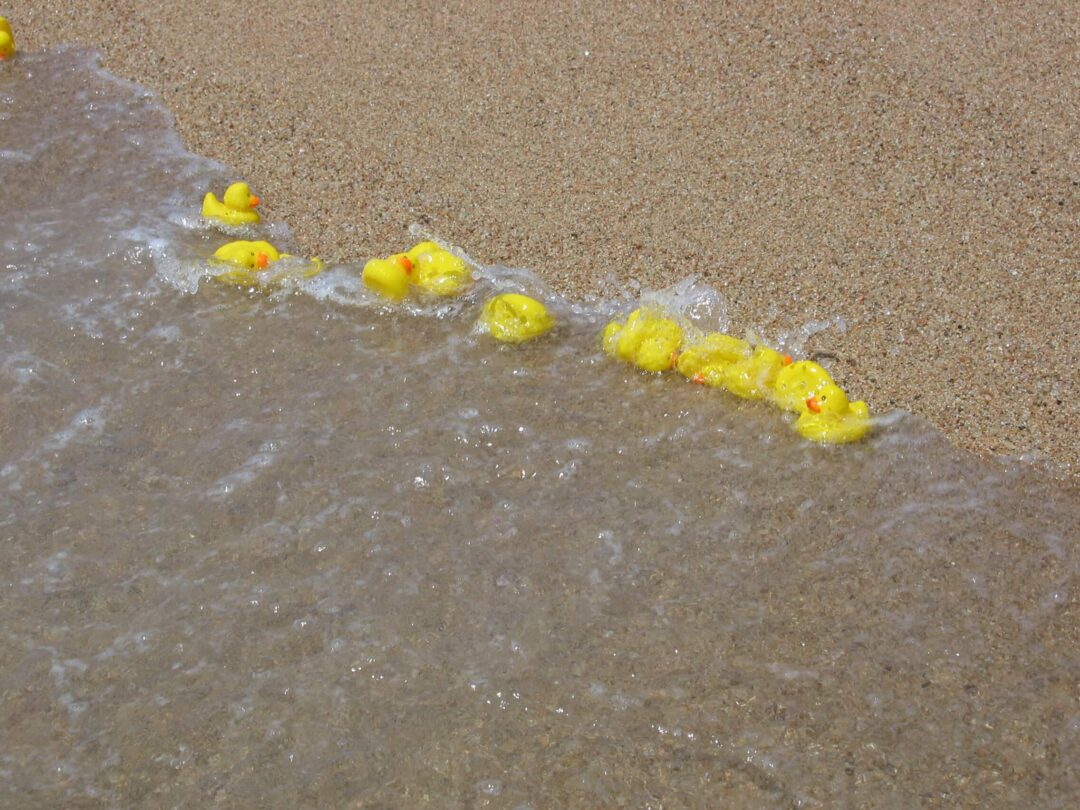 Shipwreck (2016 – 2022)