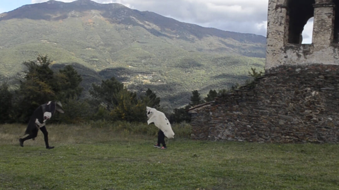 Peau de vache (2021 – In process)